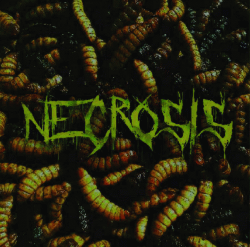 Sesión en Vivo Sawa